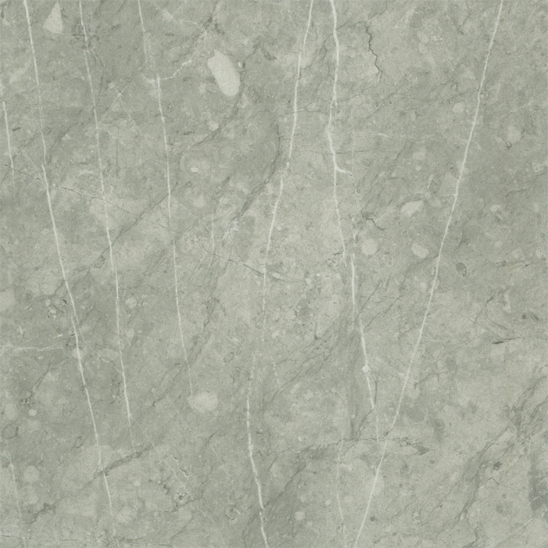 Gris Projet